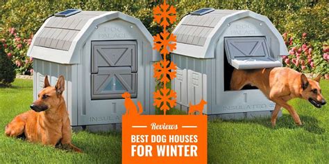 warm dog house for winter